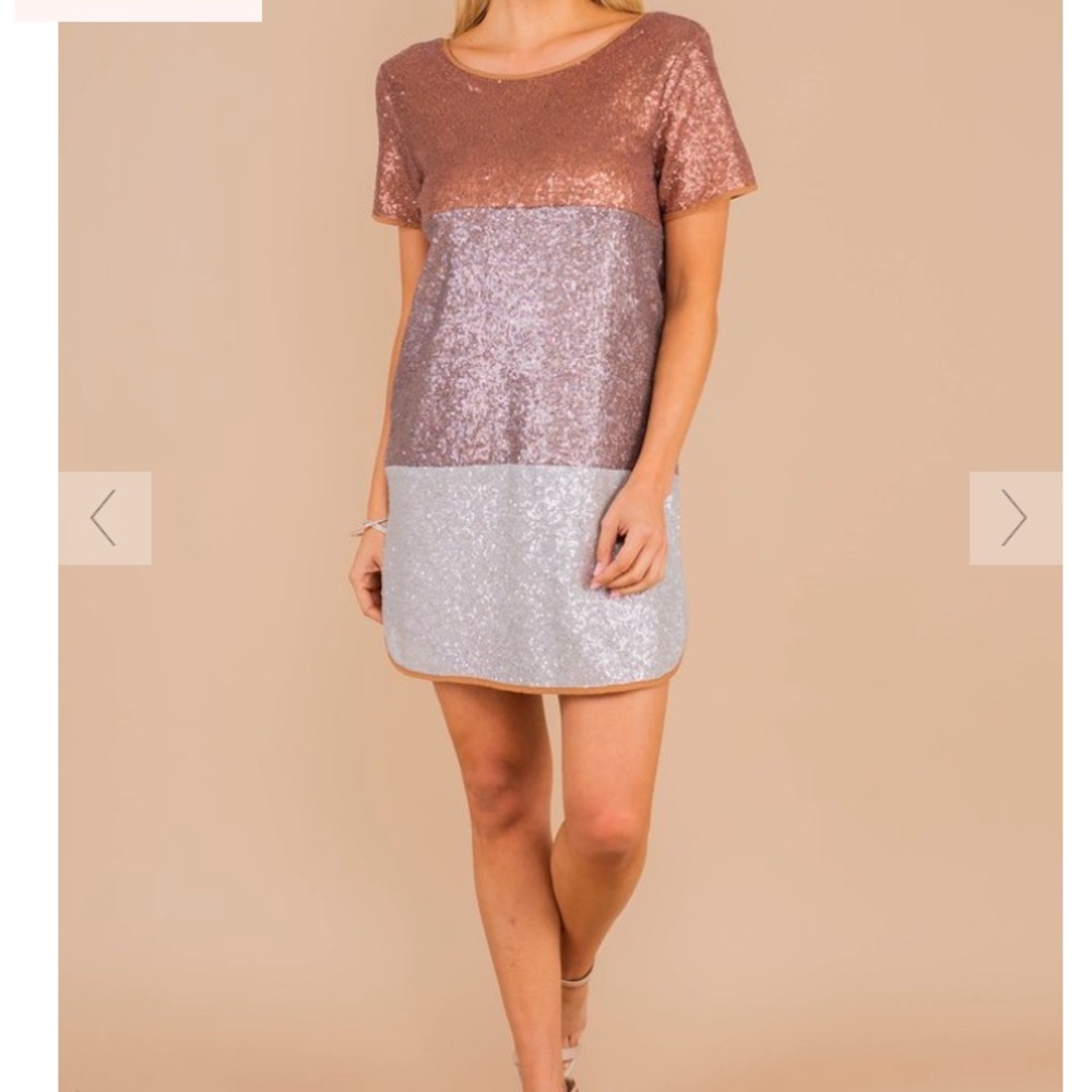 Rose gold and Silver sequin dress